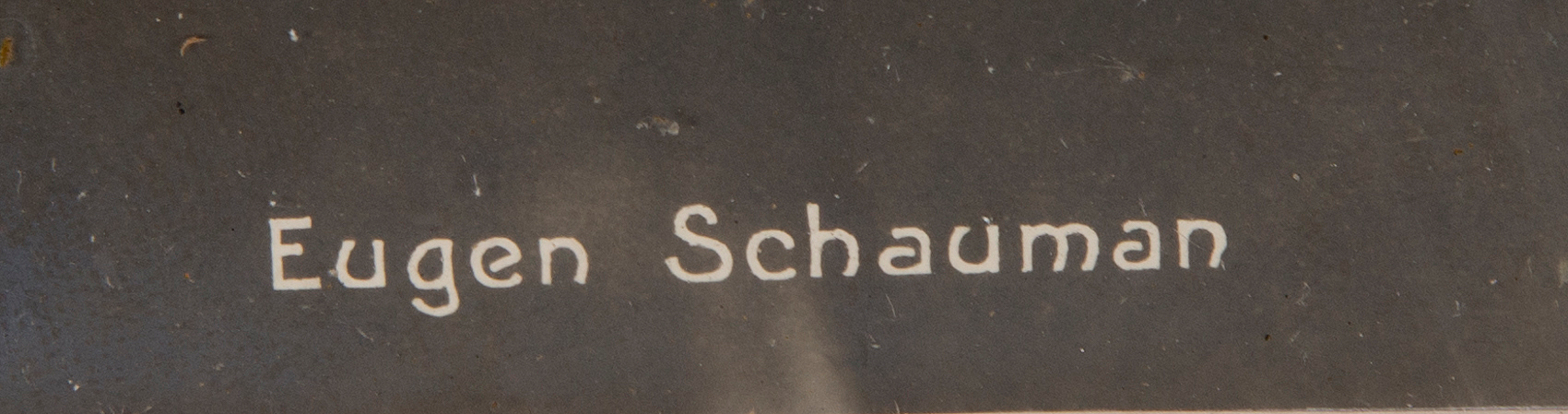 VALOKUVA, Eugen Schauman, 1900luvun alku. Bukowskis