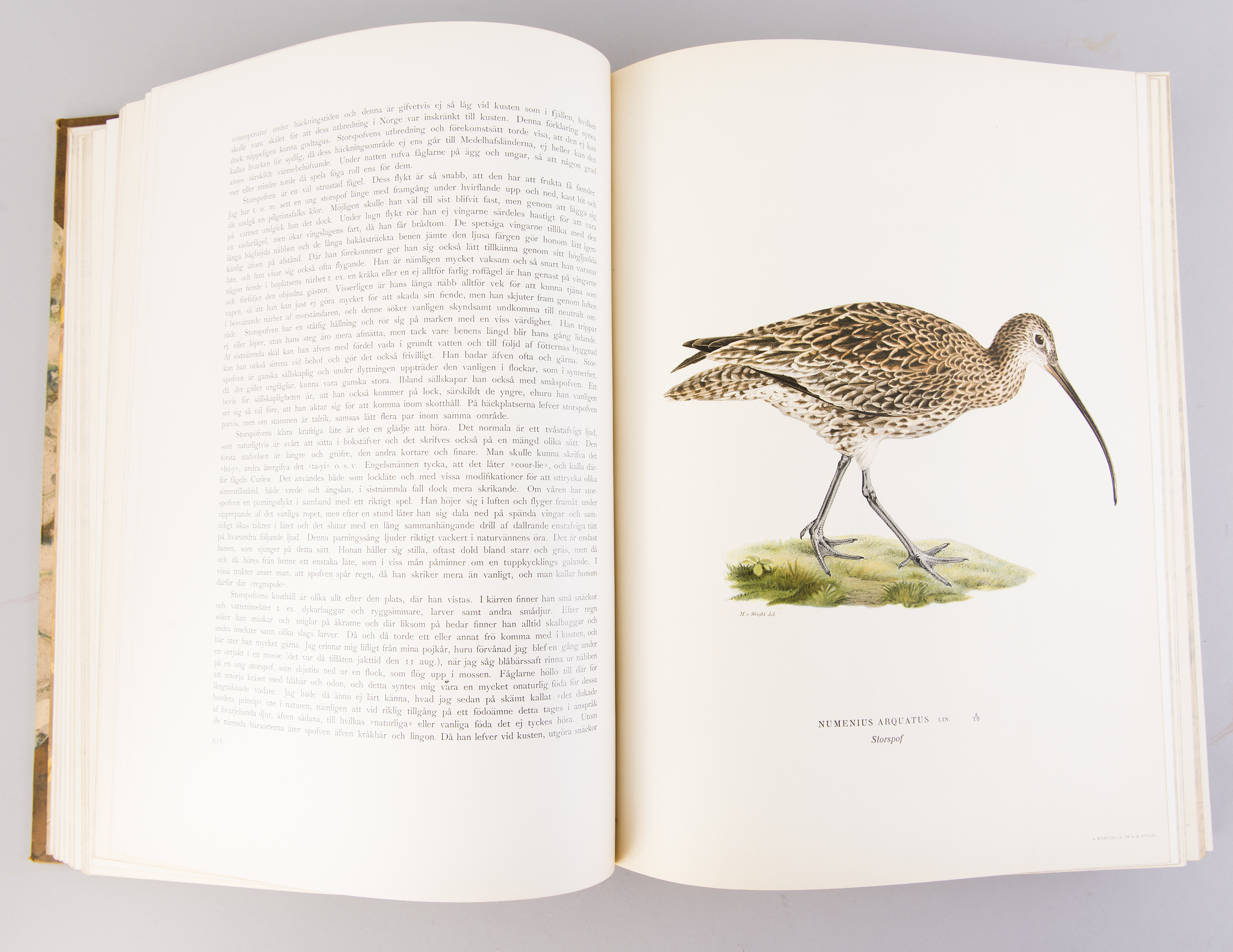 Get Kuesten bad Desktop Wallpaper Kuesten Bad