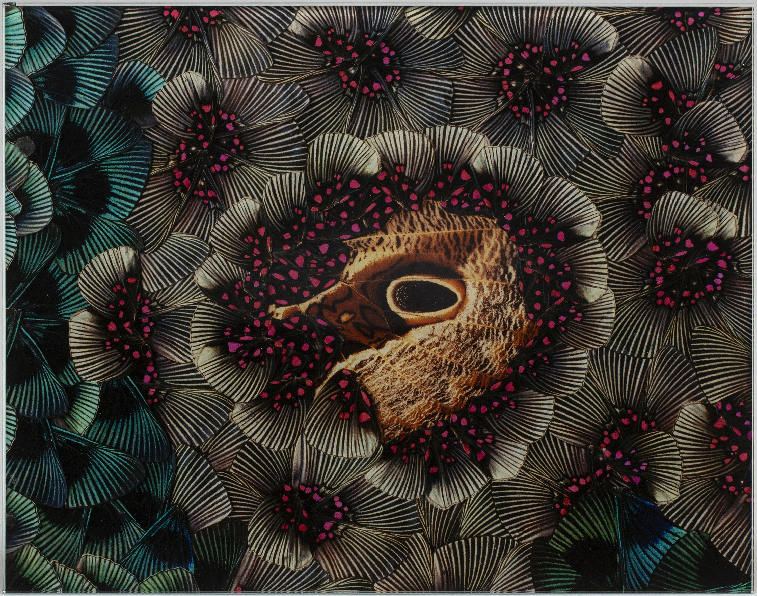 NATHALIA EDENMONT, Bukowskis