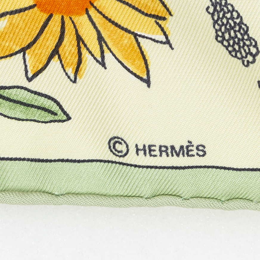 hermes retour a la terre scarf
