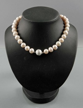 123155. COLLIER, sötvattenspärlor.