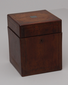 1365. FLASKSCHATULL.