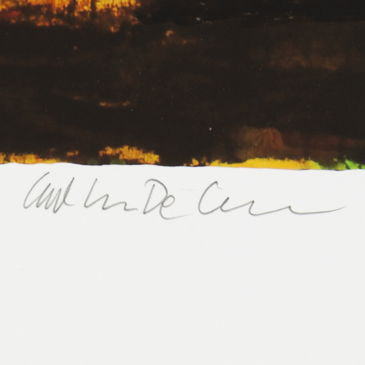 Carl Johan De Geer, lithograph in colours, signed 16/20. - Bukowskis