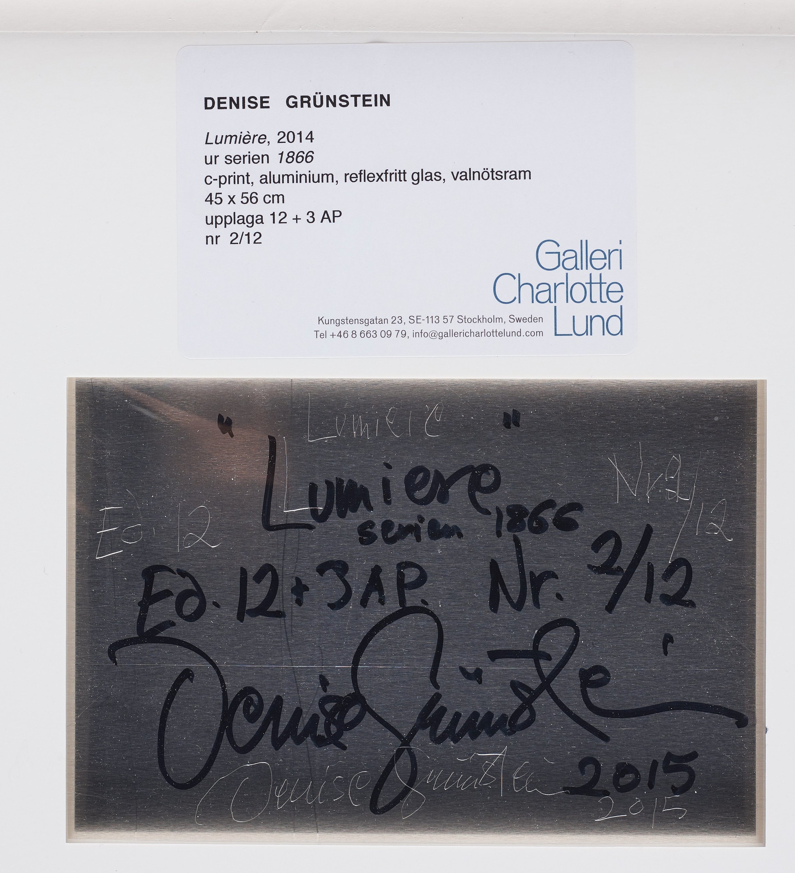 denise-gr-nstein-lumiere-2014-bukowskis