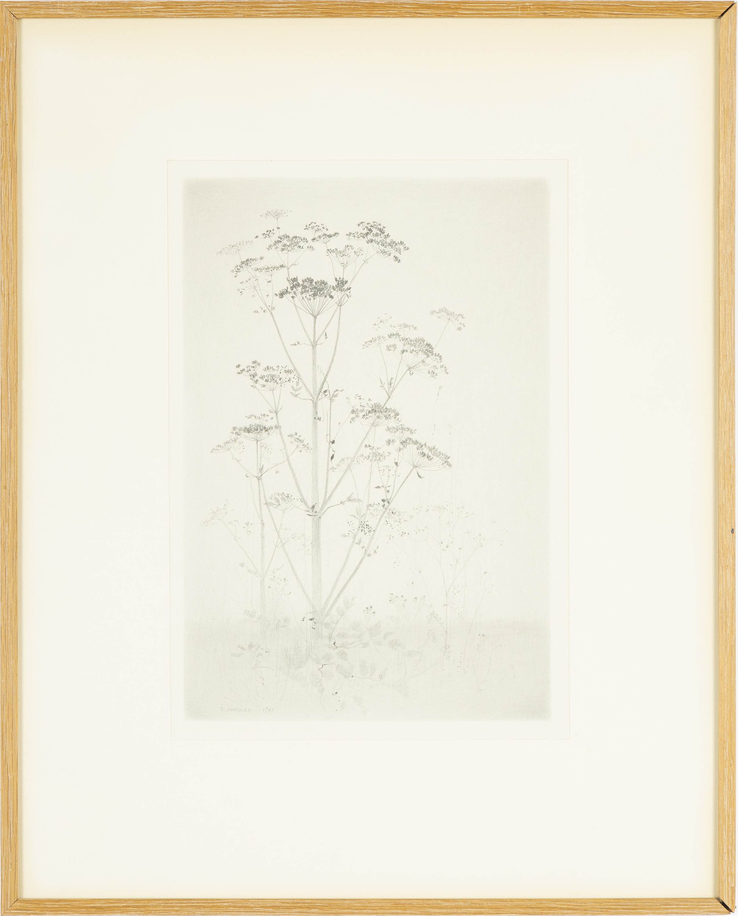 Gunnar Norrman, pencil, signed and dated 1961. - Bukowskis