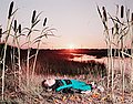 HELENA BLOMQVIST, "Marshland". 
