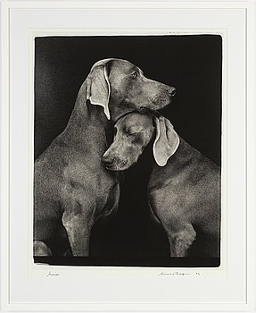 William Wegman, archival pigment print, 2009, signerat. Numrerat 114/1500 a tergo.