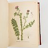 "Bilder ur Nordens Flora", C.A.M Lindman, Wahlström & Widstrand, Stockholm 1922-2,. 3 volymer.