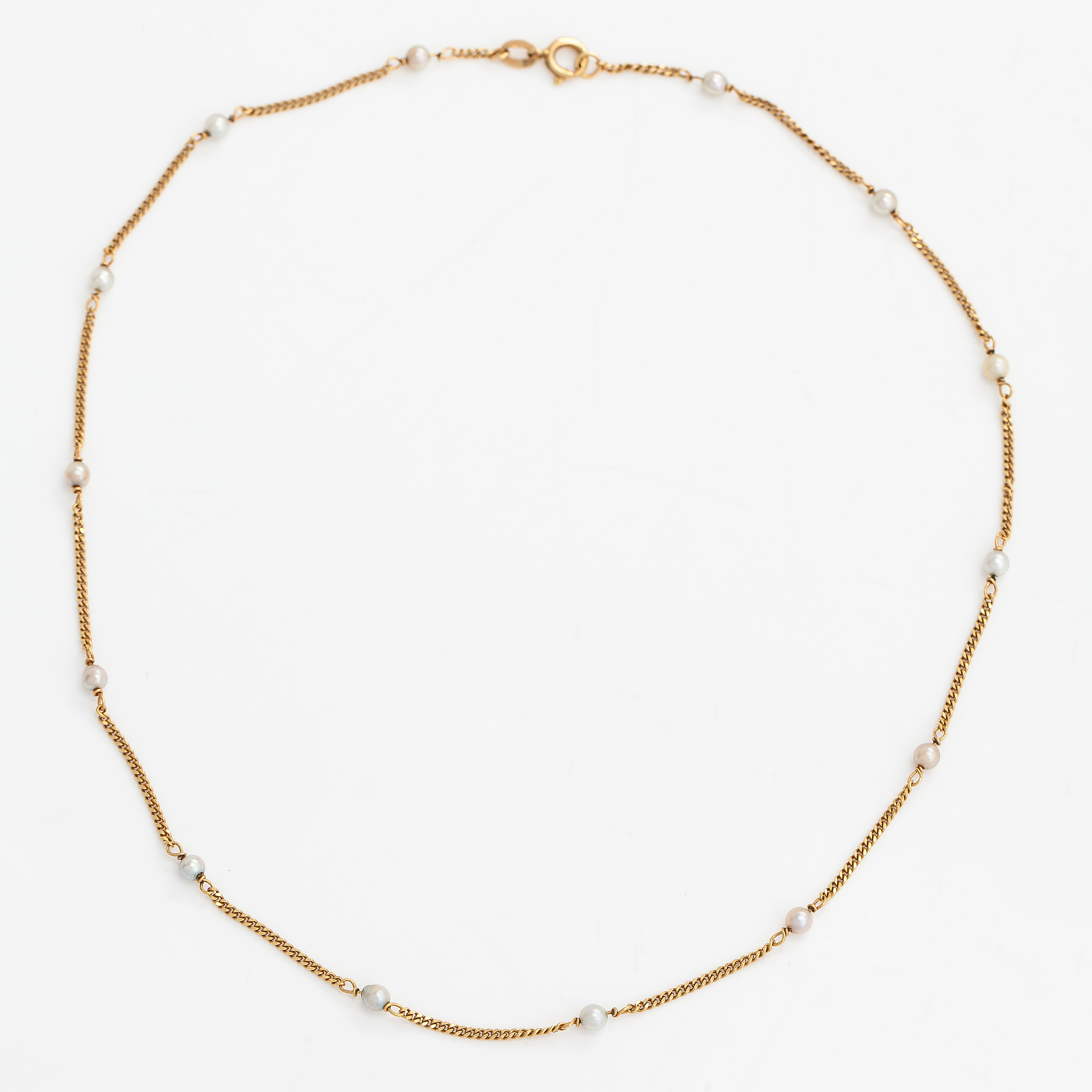 Halsband med Tänder