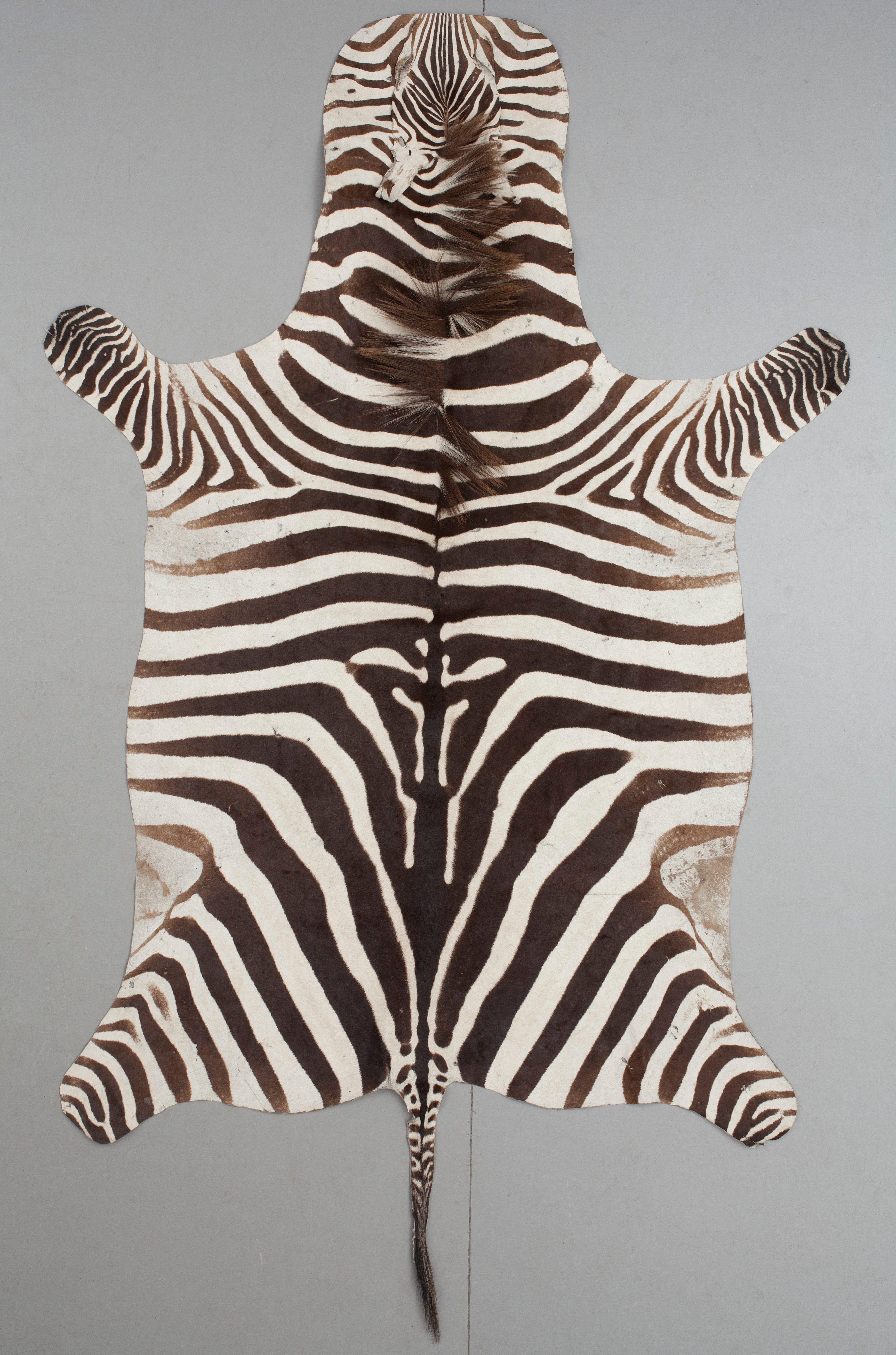 An early 20th century zebra skin. Bukowskis