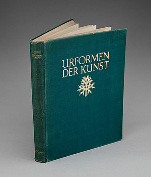 248991. BOK, Urformen der Kunst, troligen första upplagan.