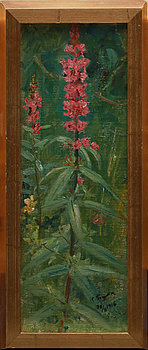 264243. ERIK TRYGGELIN, oljor på uppklistrad duk, 2 st, sign och dat 1916 resp 1927.