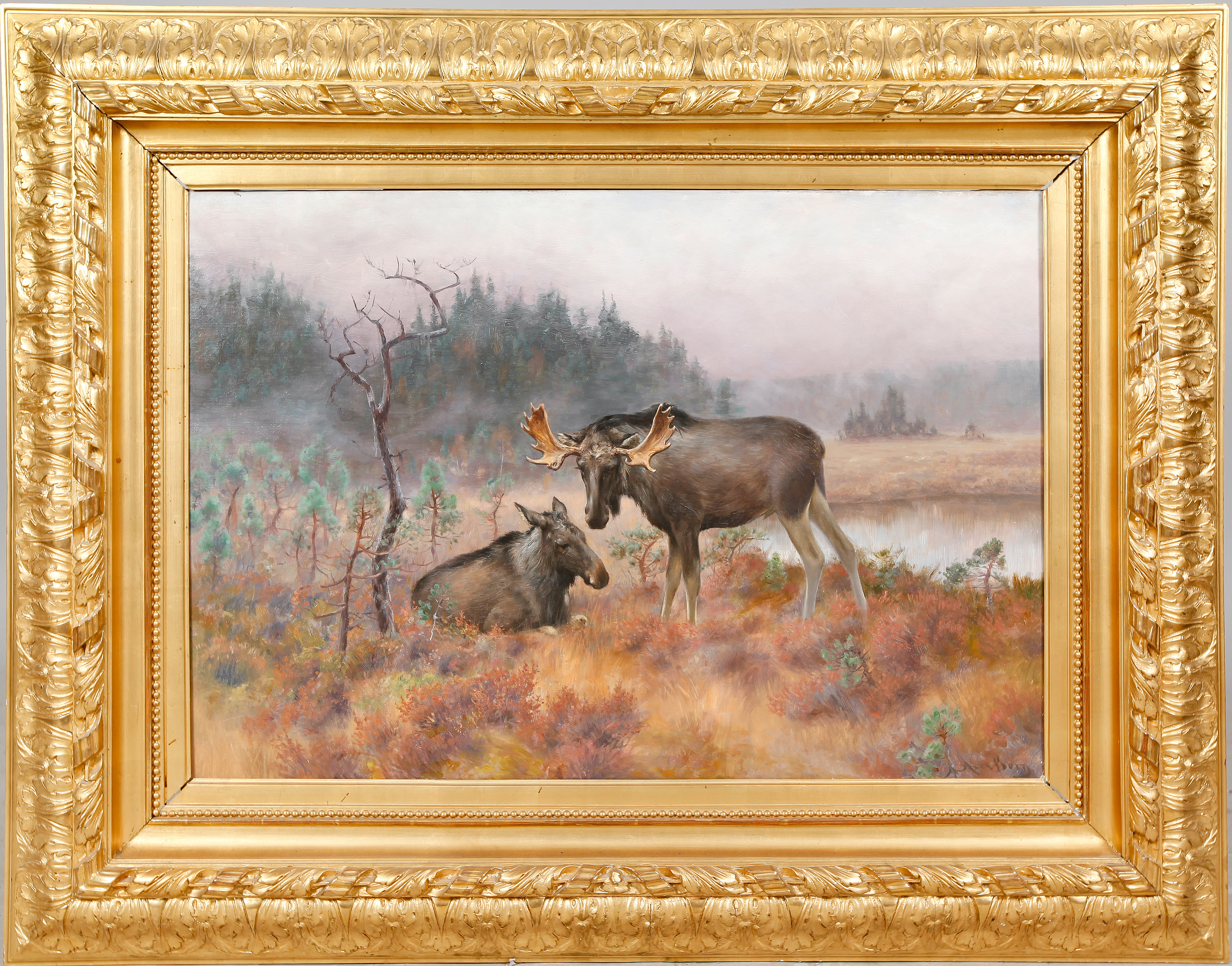 Is shakespeare essay axel borg lillehammer 4r31 filmbay 277oq rol koch edu5 html image