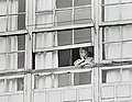 "Kvinna i fönsterraden" (Woman in the window).