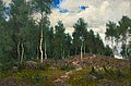 OLOF ARBORELIUS, BIRCHES. Sign. Oil on canv...
