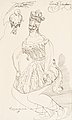 ERNST JOSEPHSON, "Papagena". Signed Ernst J...