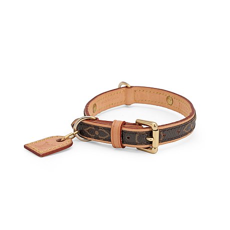 baxter dog collar pm