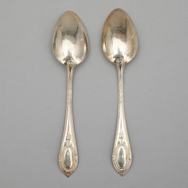 PARTI SILVER