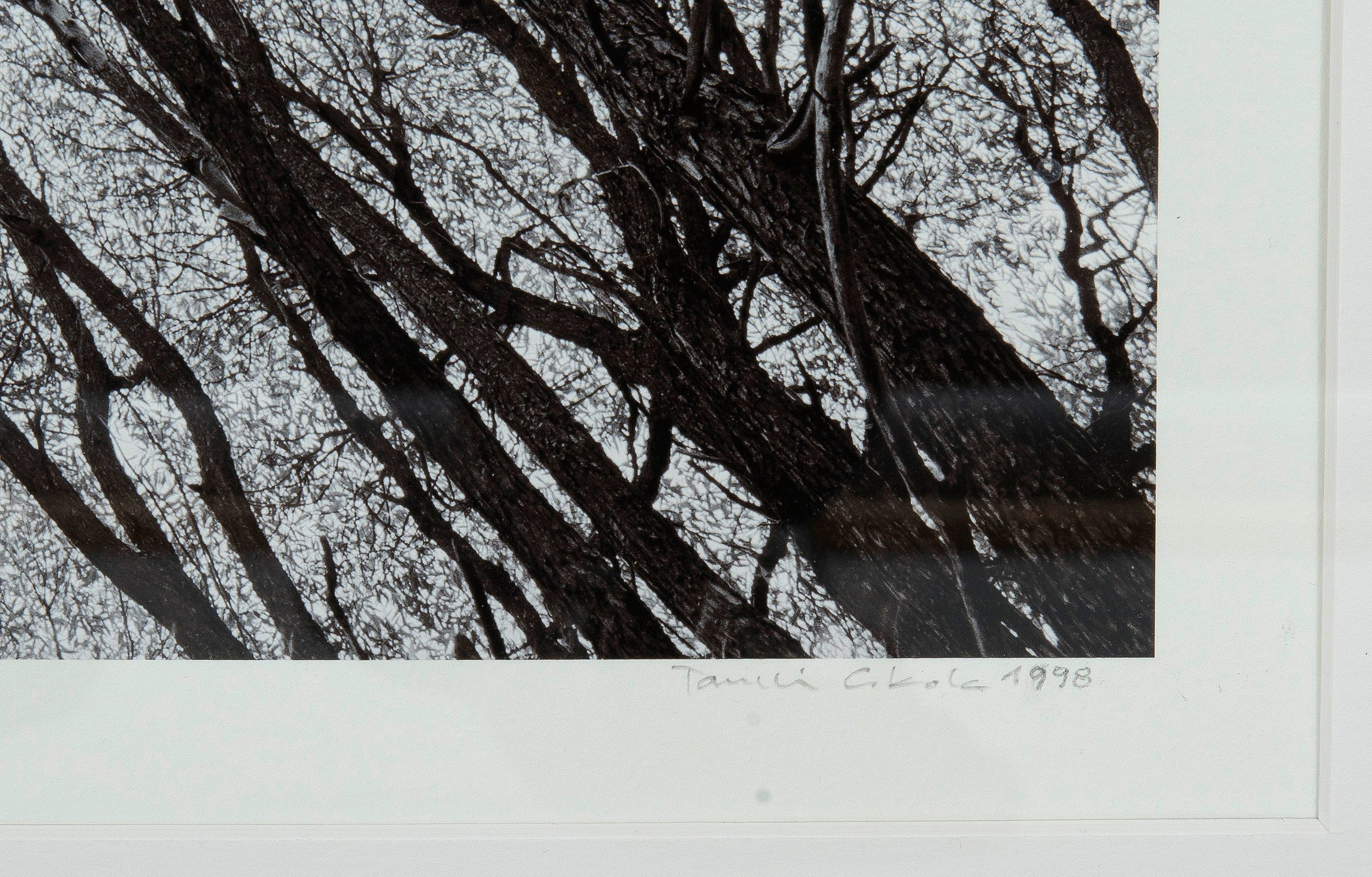 Taneli Eskola, "TERIJOKI WILLOWS". - Bukowskis