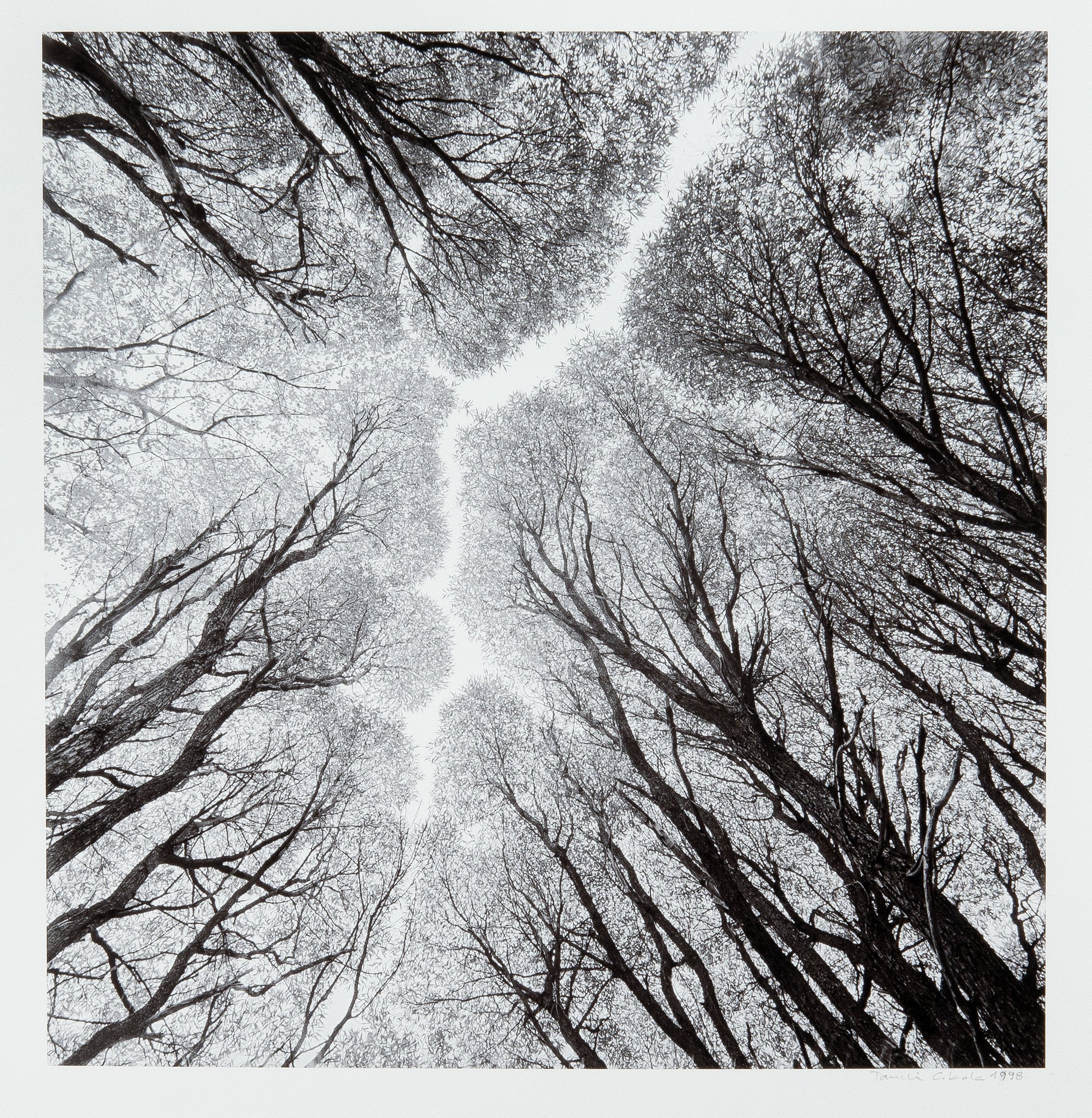 Taneli Eskola, "TERIJOKI WILLOWS". - Bukowskis