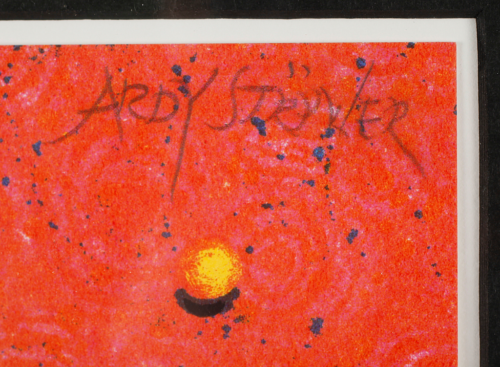 ardy strüwer ardy strüwer
