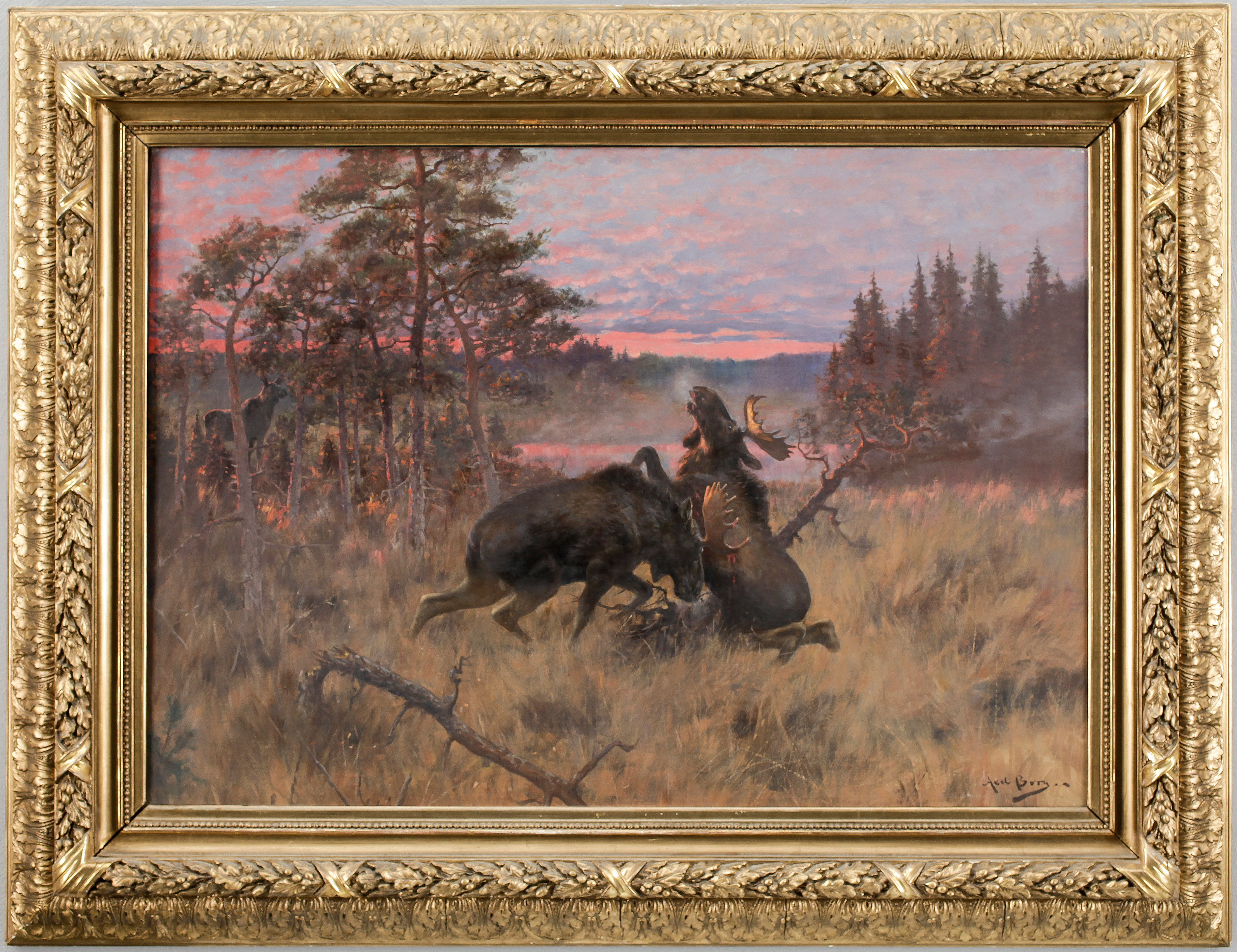 Genetics or nurture essay axel borg lillehammer 4r31 filmbay 277oq rol koch edu5 html 06 image