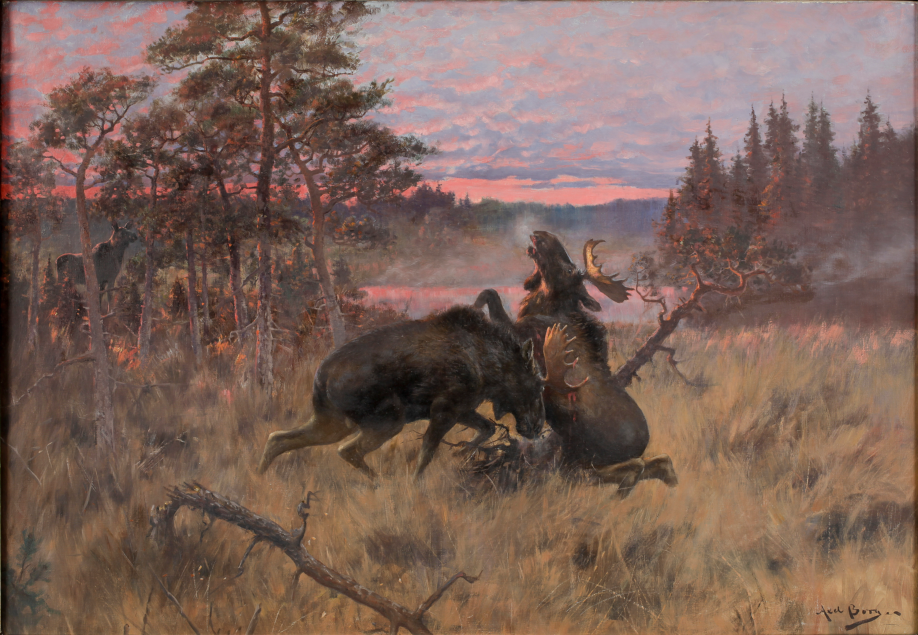 Is shakespeare essay axel borg lillehammer 4r31 filmbay 277oq rol koch edu5 html 06 picture