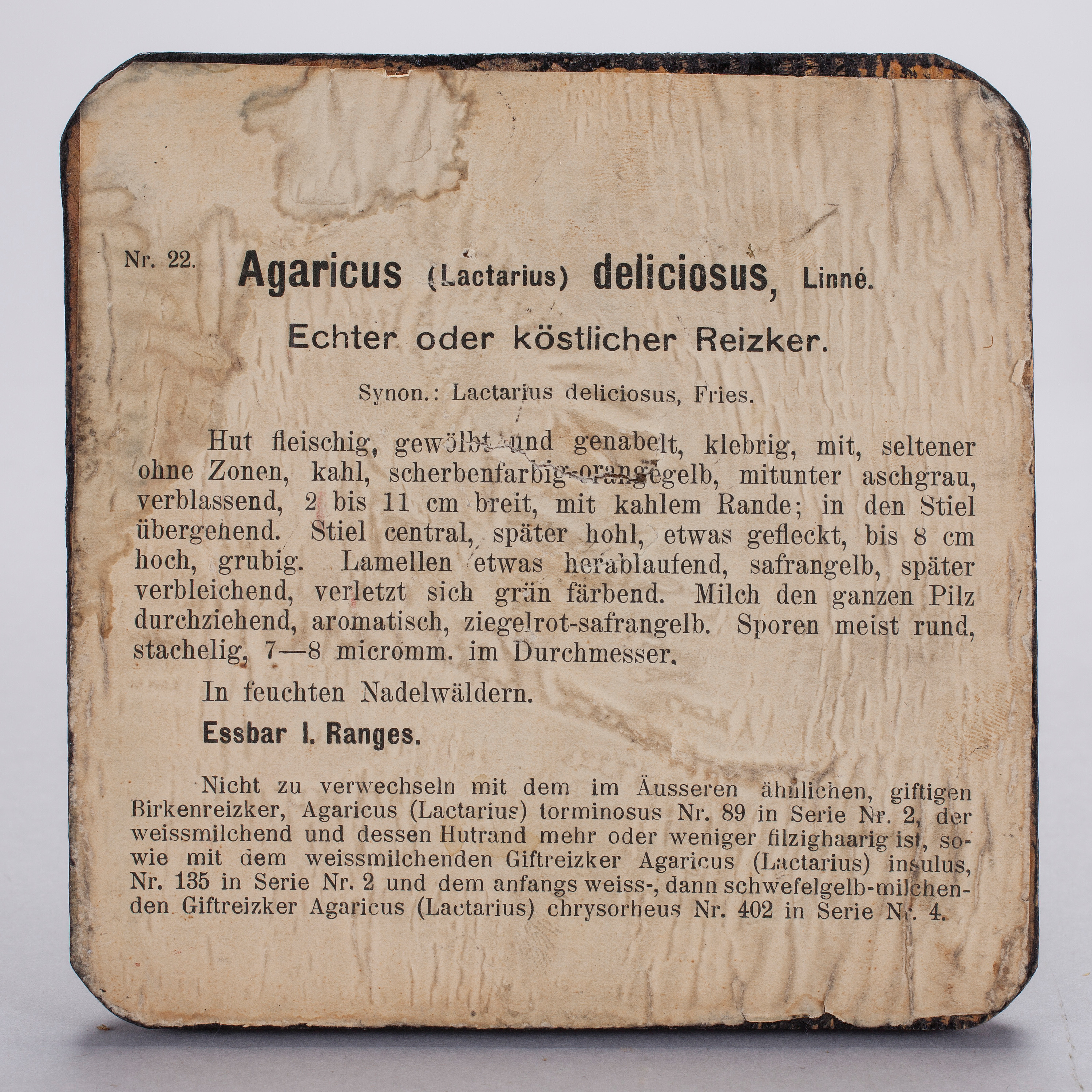 Undervisningsmodeller 4 St 1900 Talets Forsta Halft Bukowskis