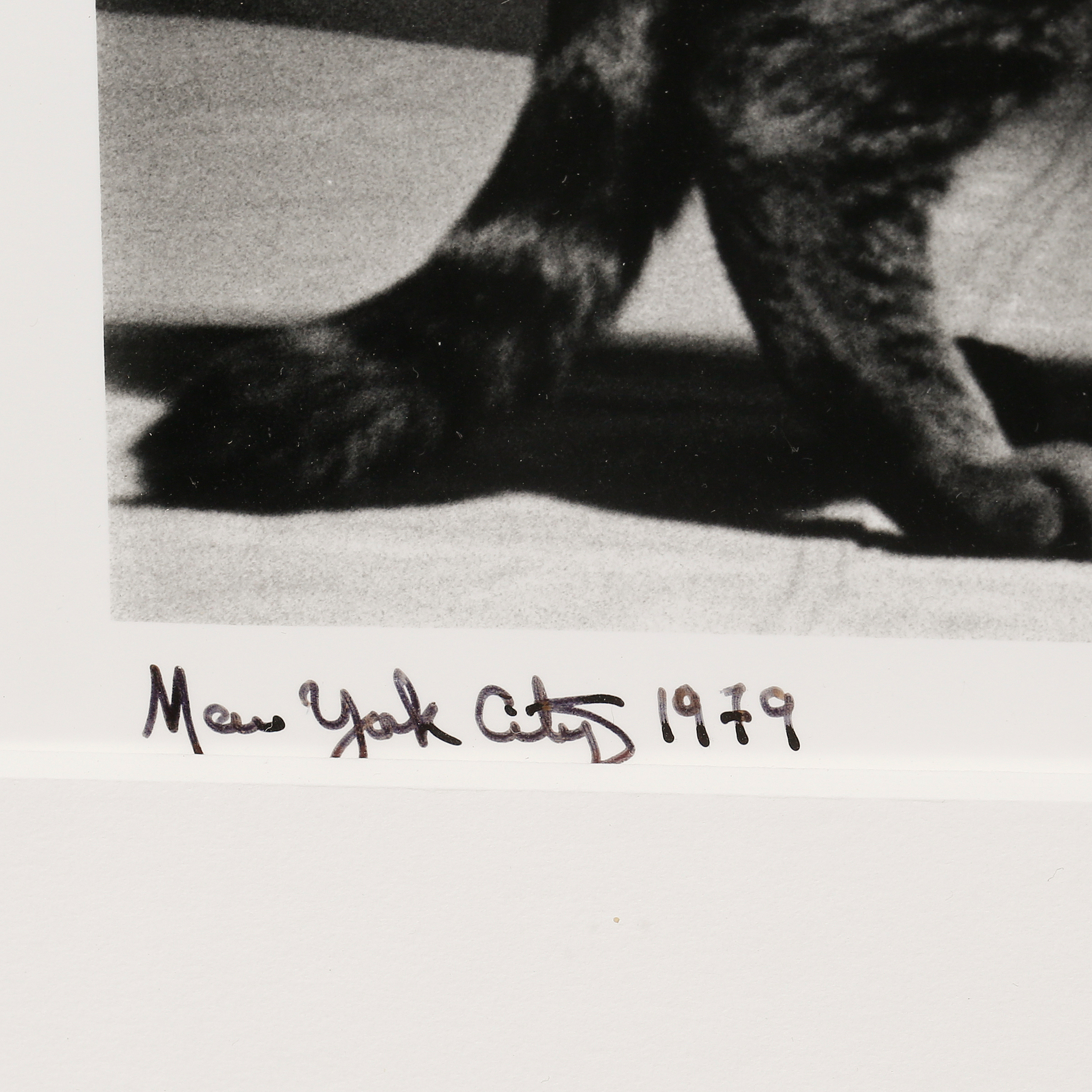 MARTIN HUGO MAXIMILLIAN SCHREIBER, "Madonna and Hugo the cat, New York 1979". Bukowskis