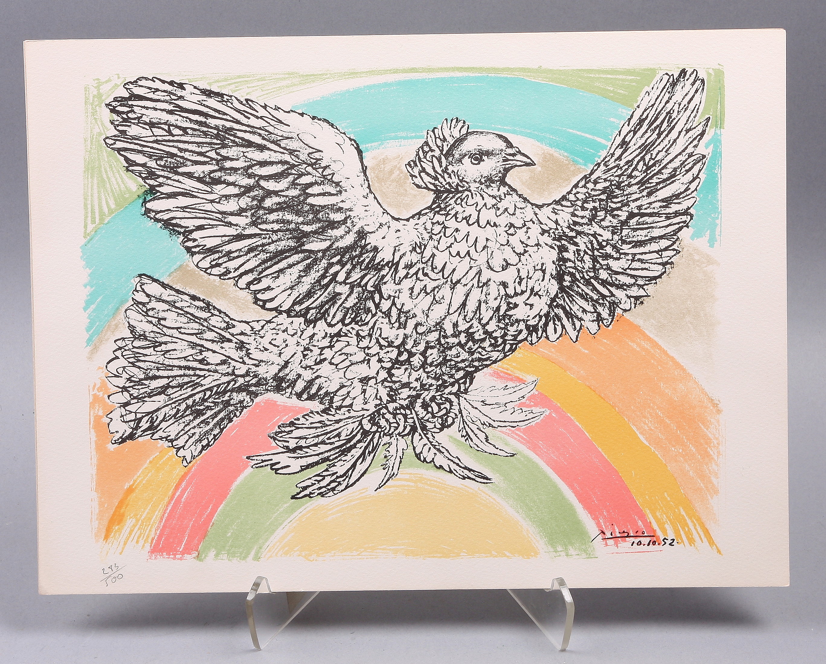 66375 essay 06 image