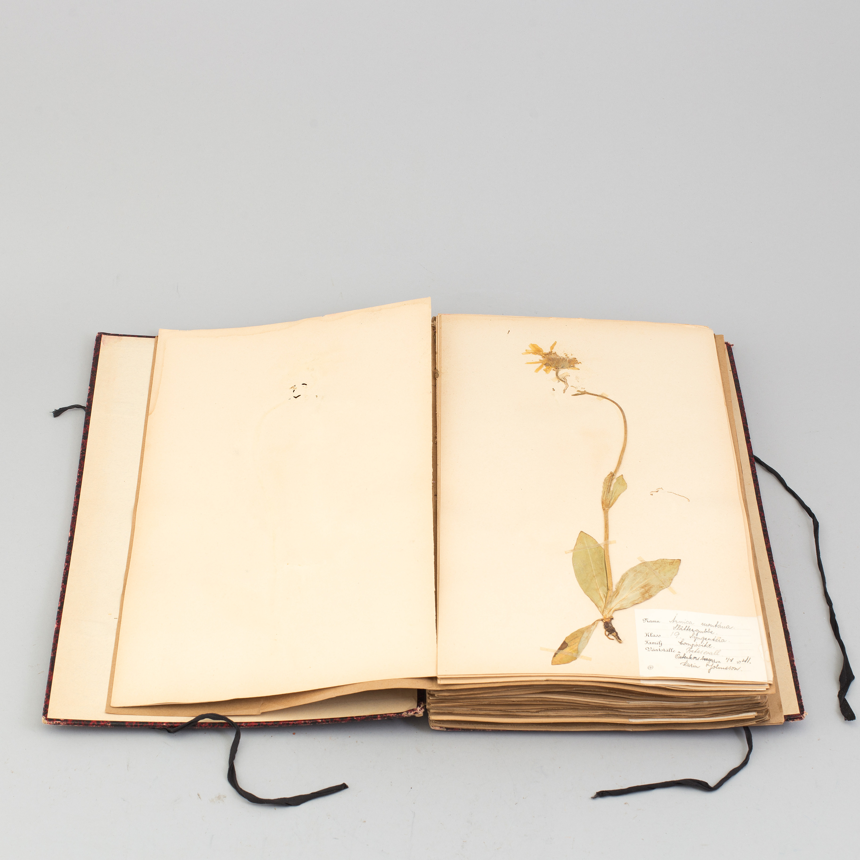 Runner Da Tavola Beties Herbarium 40x175 Cm – Tovaglia Lunga Con Stampa Fiori E Foglie Ibisco In Rosa Antico E Verde