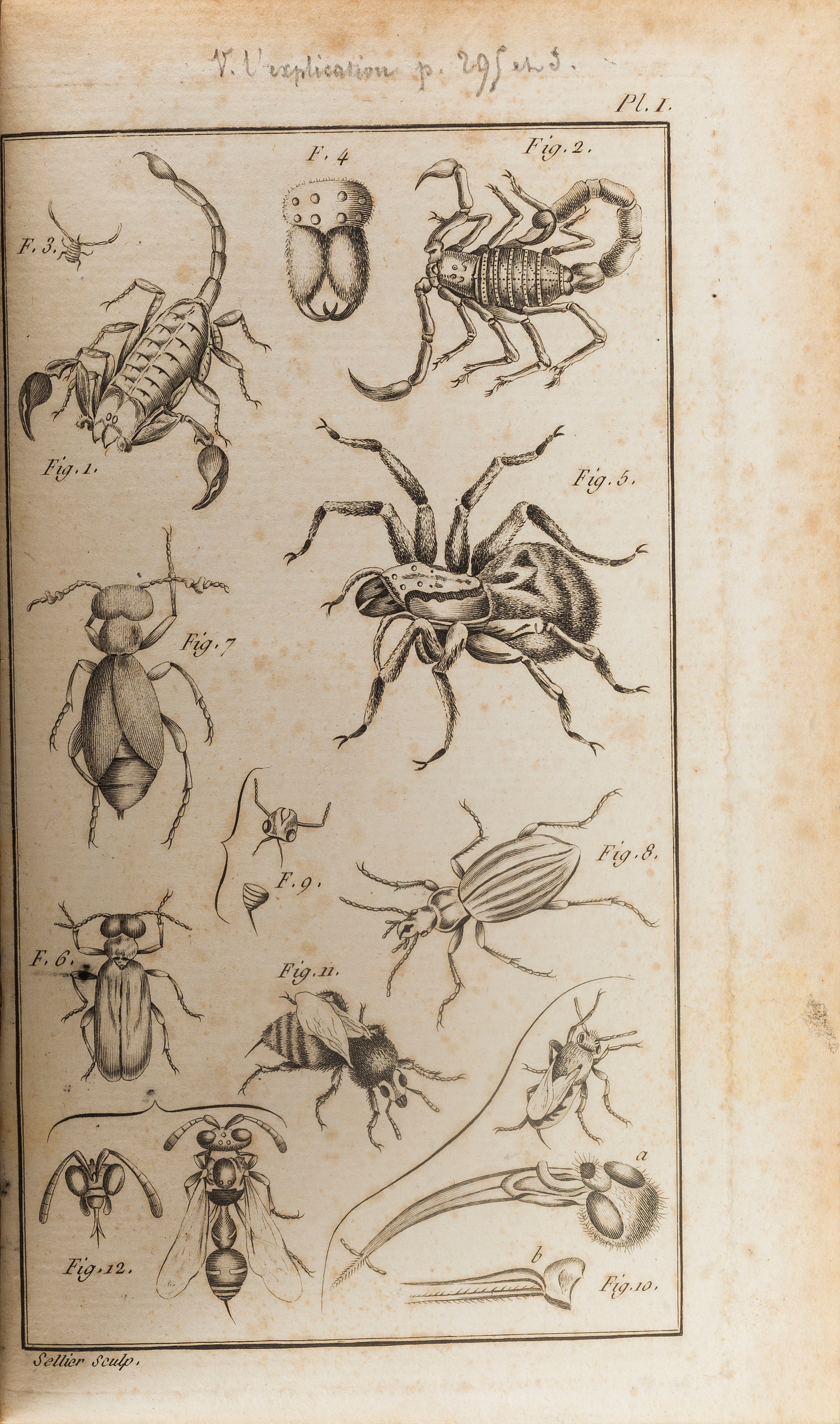 NOTICE DES INSECTES DE LA FRANCE... AV PIERRE JOSEPH AMOREUX PARIS 1789