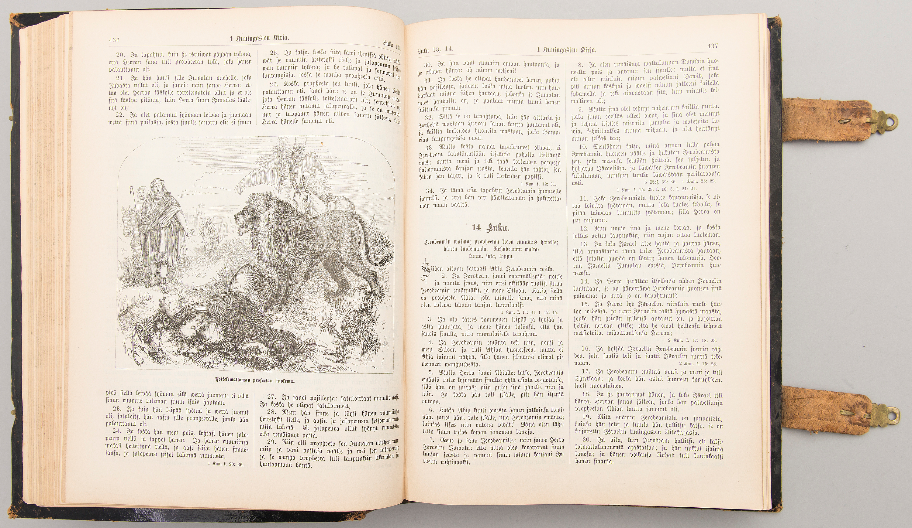 päivä kirja suku puoli aasi alainen